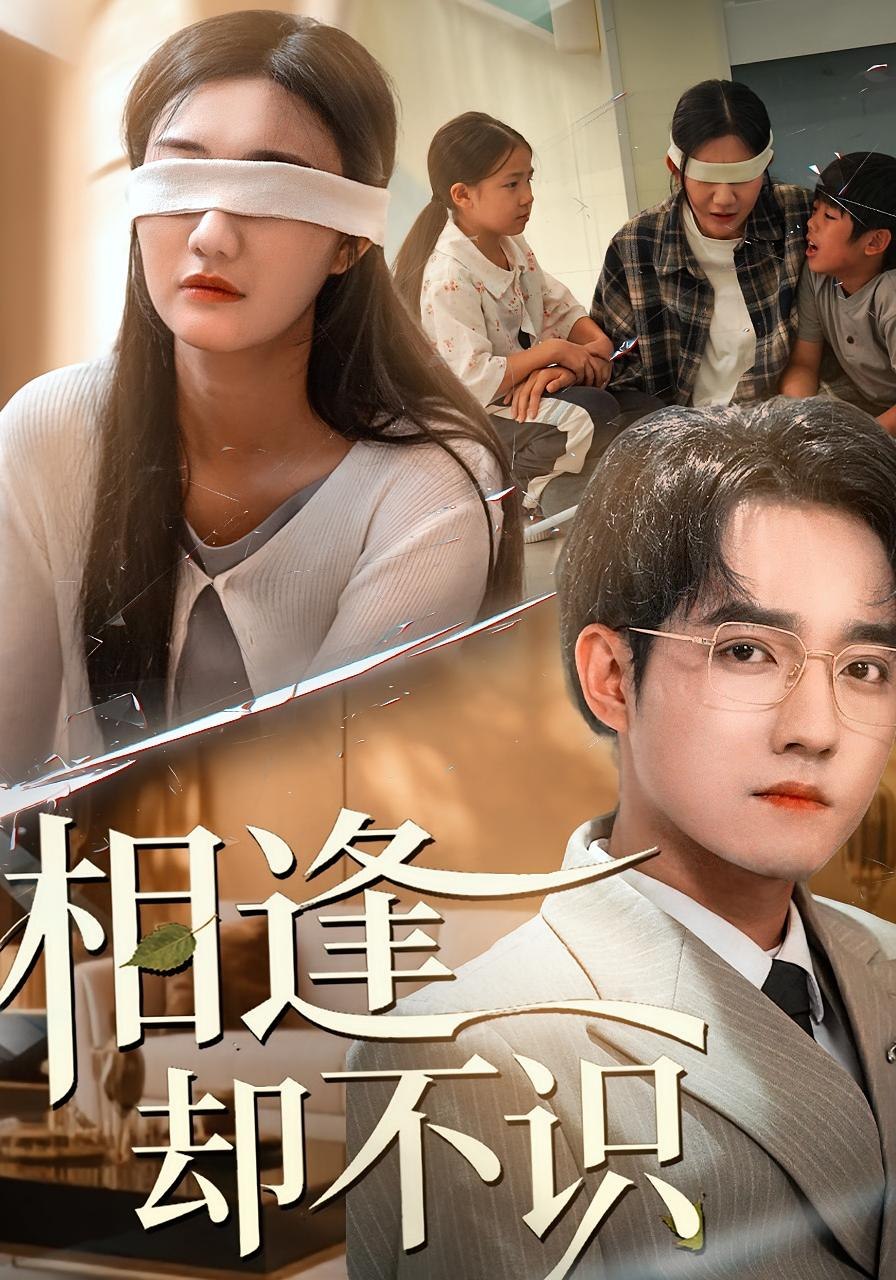 相逢却不识封面