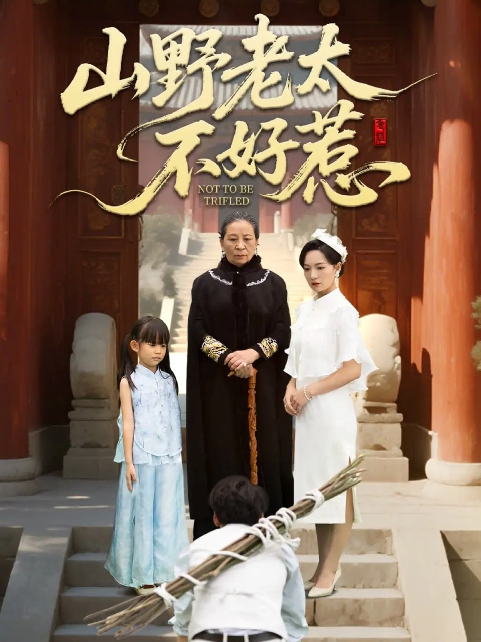 山野老太不好惹（奶奶一脚震全城）封面