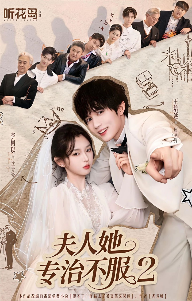 夫人她专治不服2封面