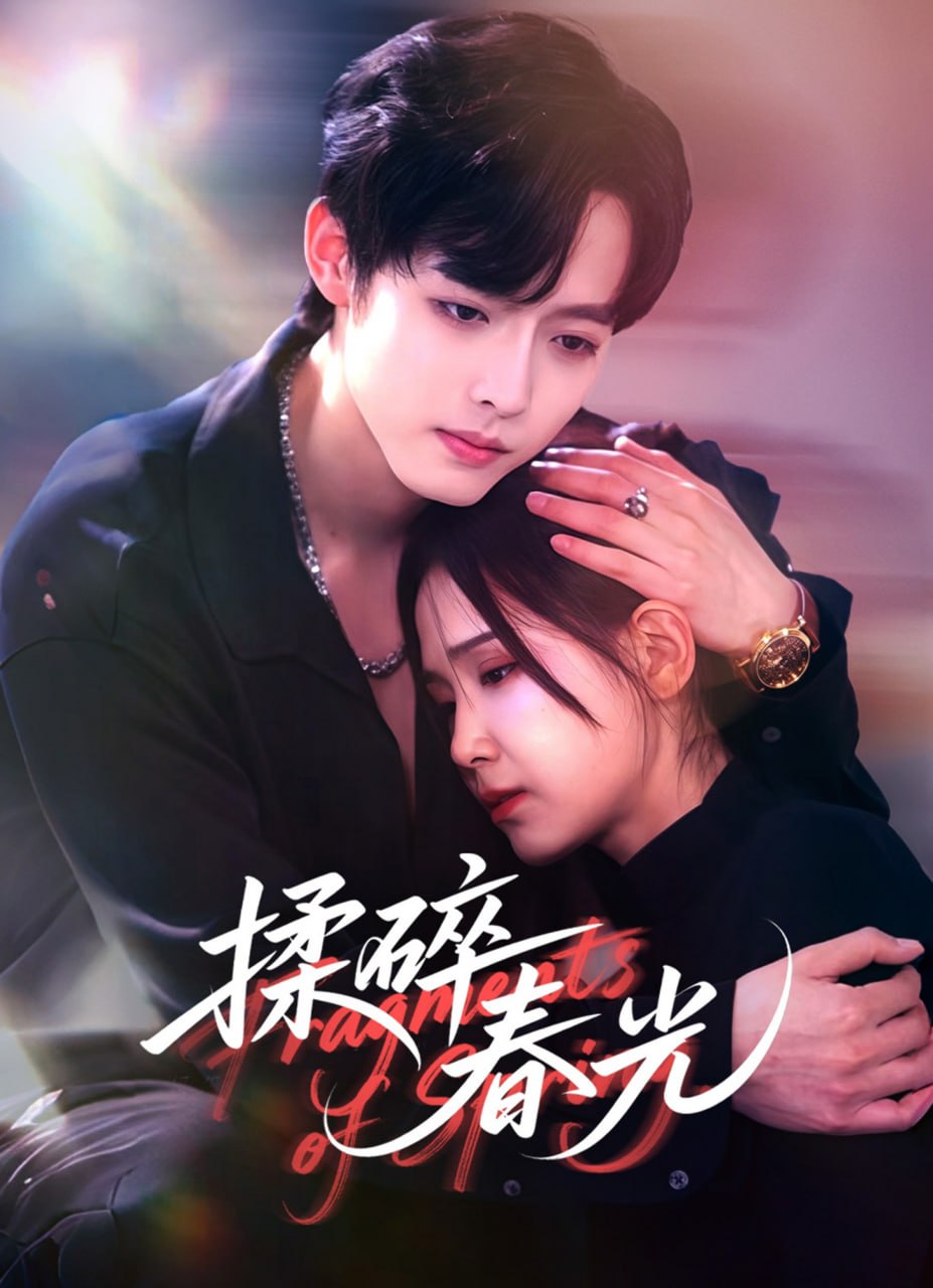 揉碎春光封面