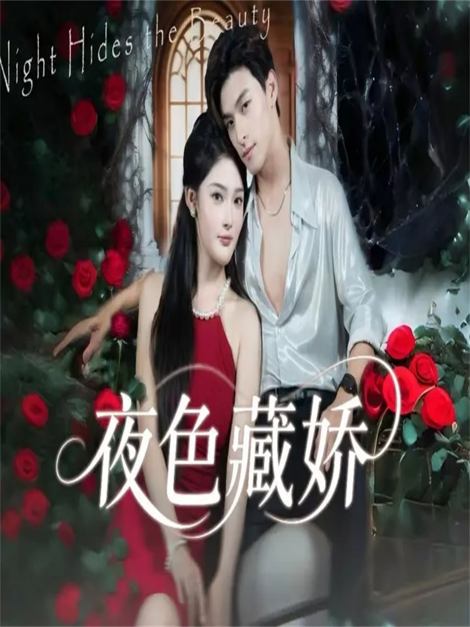 夜色藏娇封面