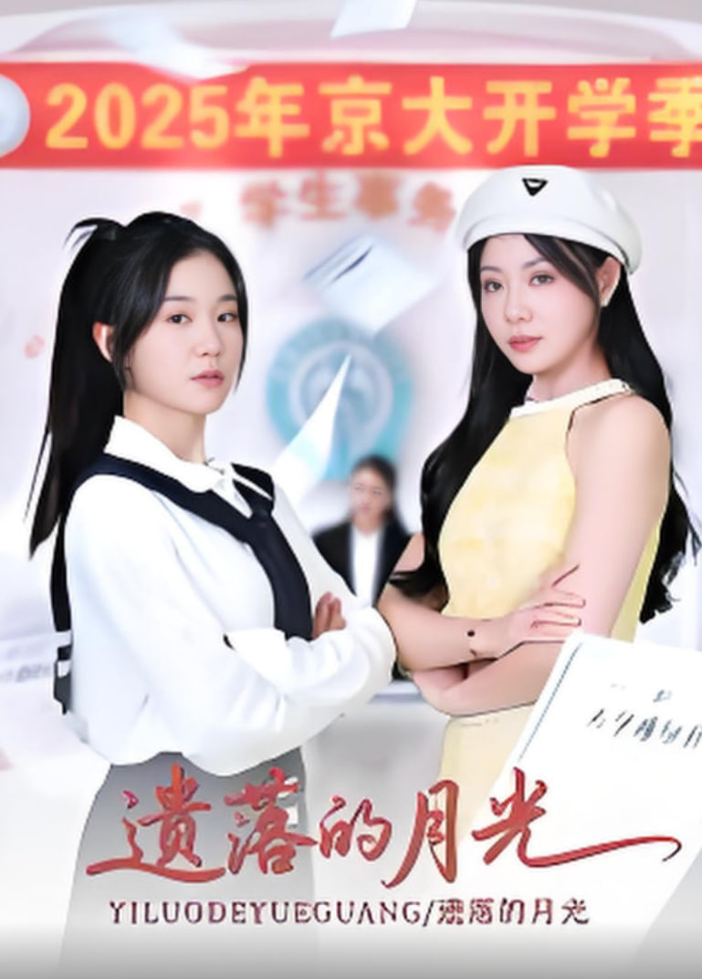 遗落的月光封面