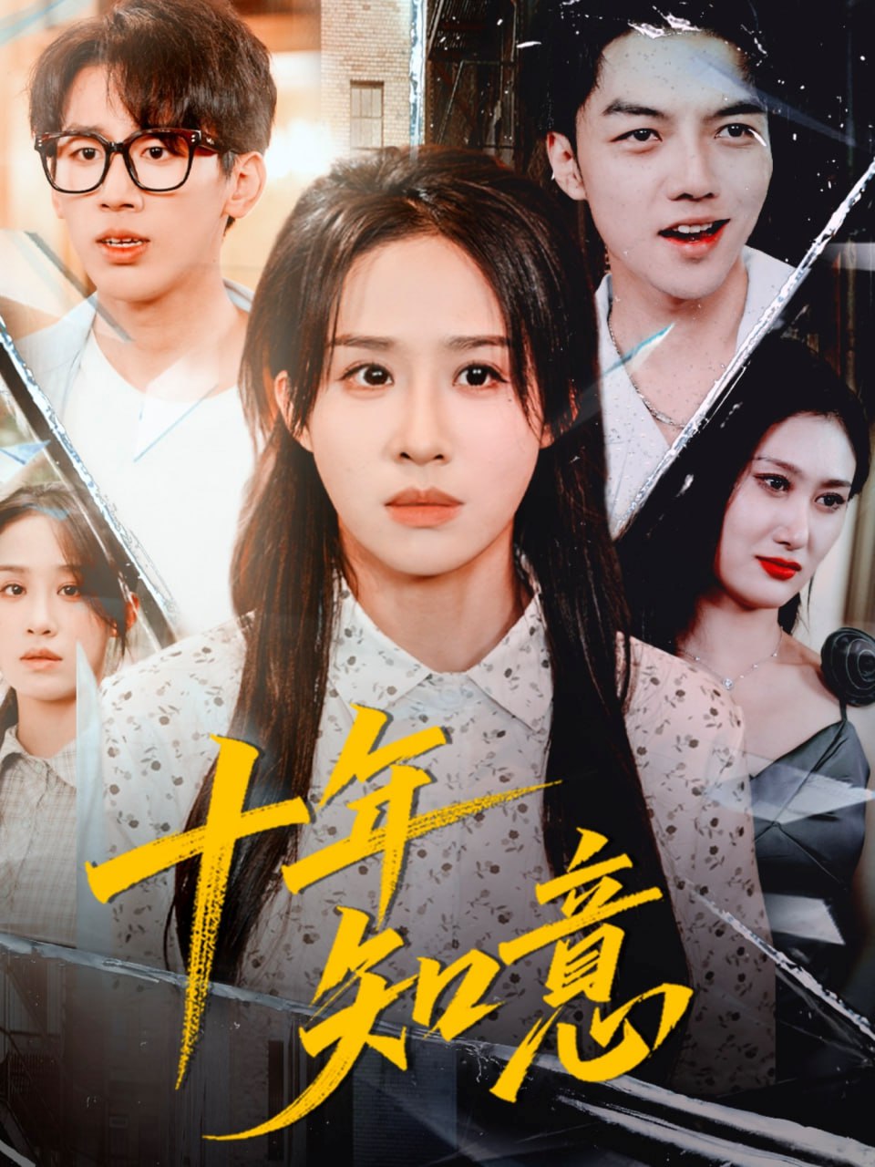 十年知意封面