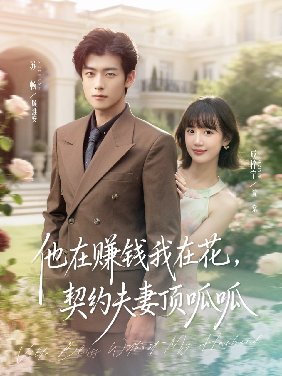 他在赚钱我在花，契约夫妻顶呱呱封面