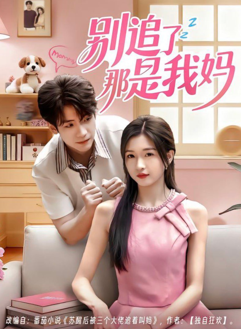 别追了那是我妈封面