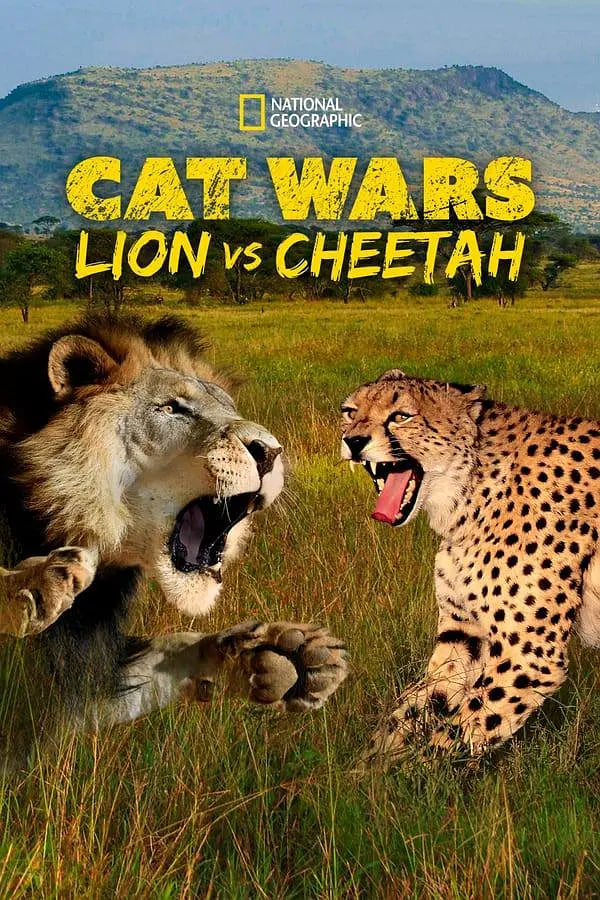 搜索 猫科大战：狮子VS猎豹封面