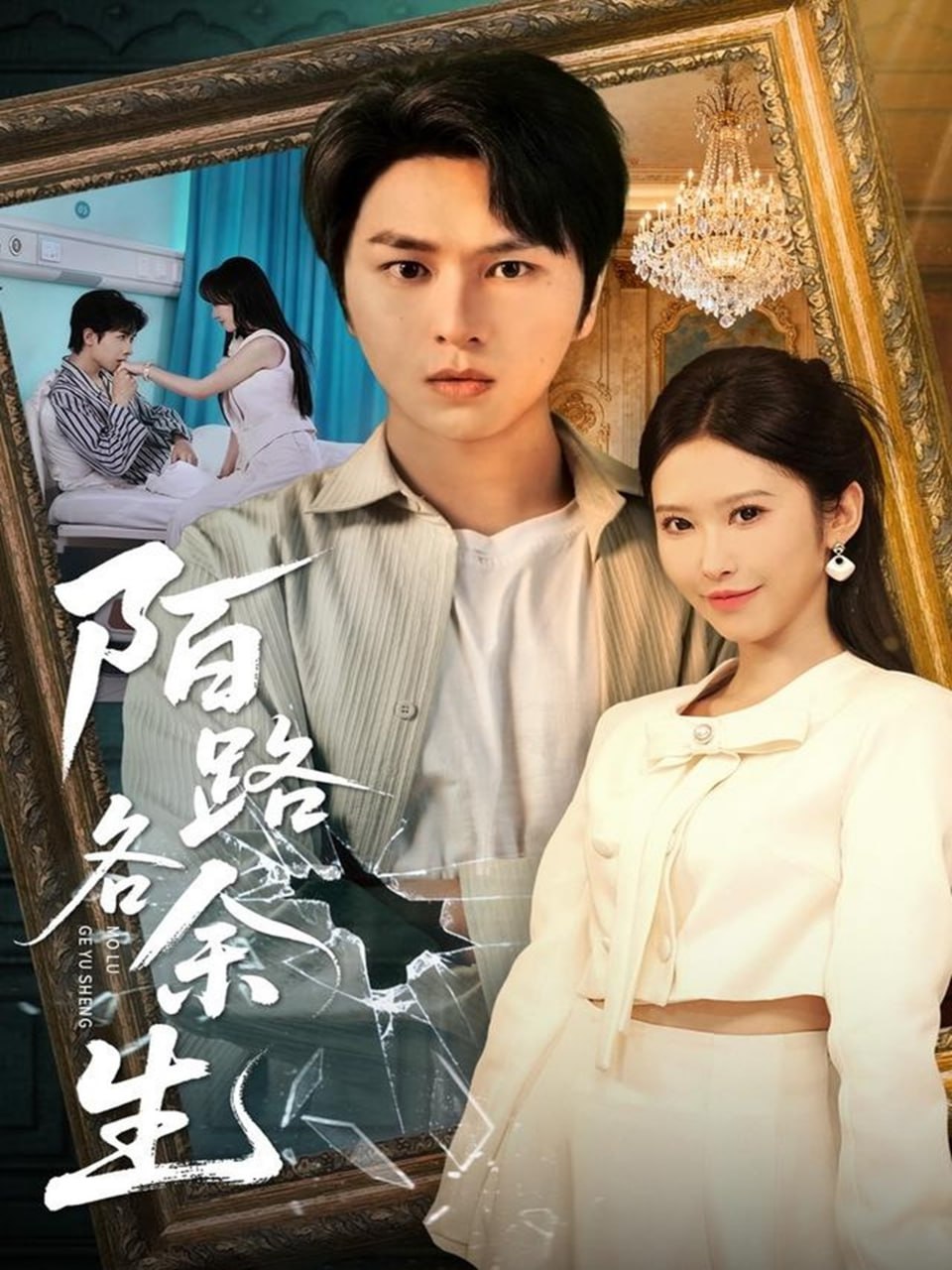 陌路各余生封面