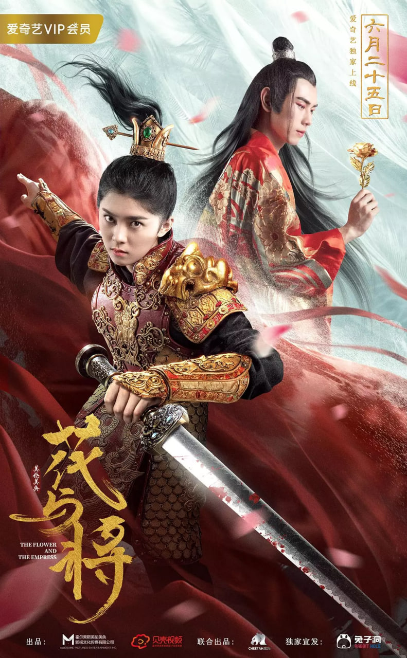 花与将封面