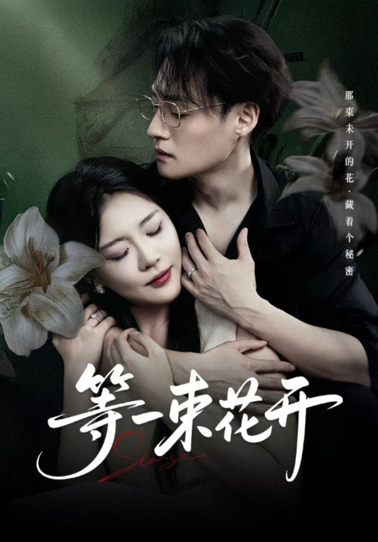 等一束花开封面
