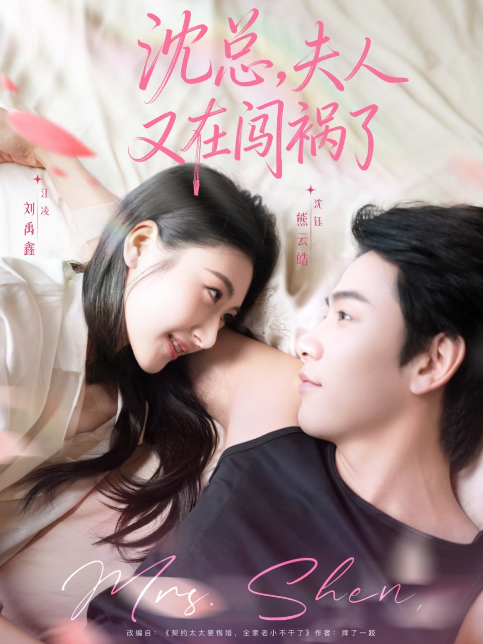 沈总，夫人又在闯祸了封面