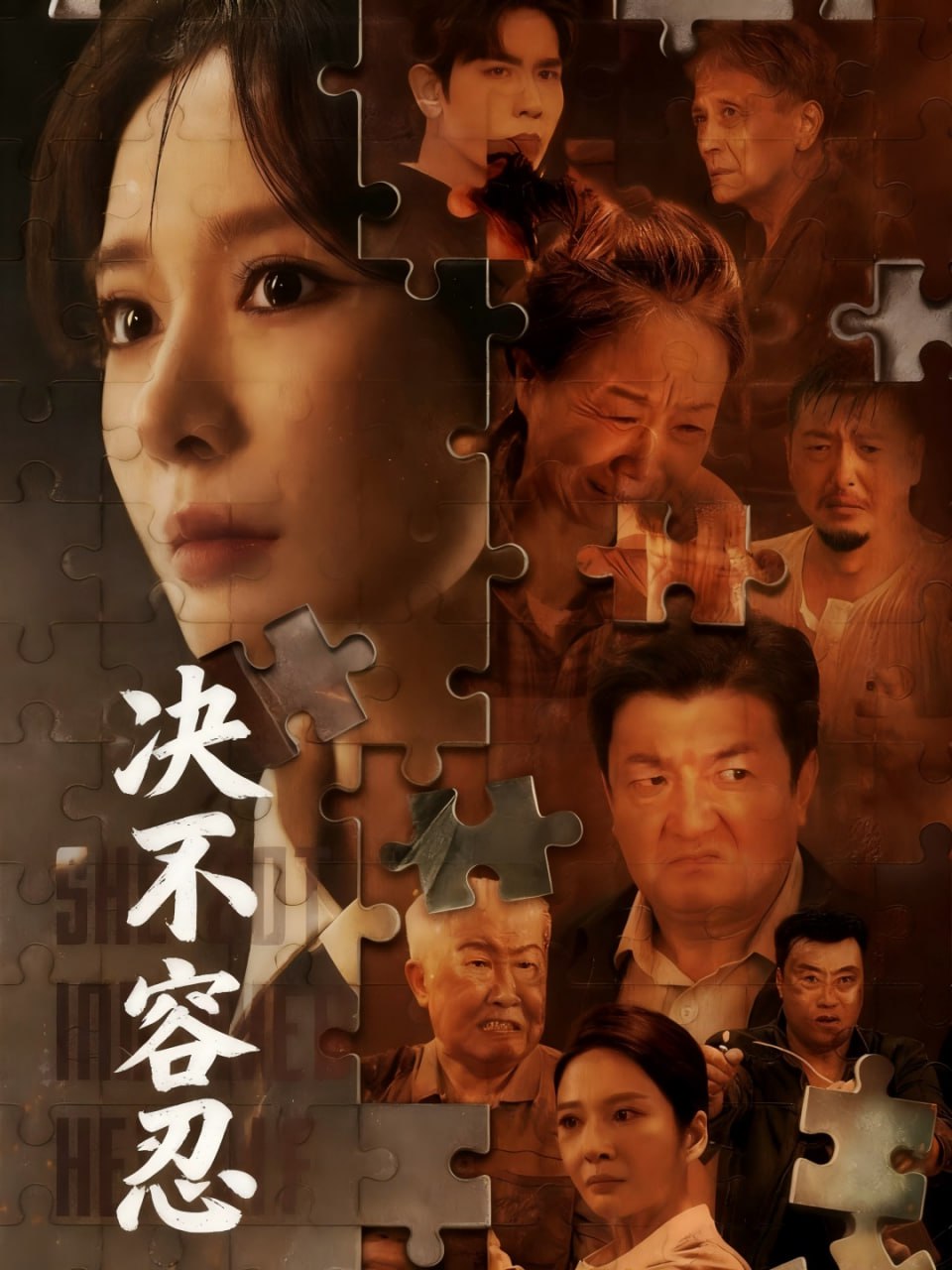 决不容忍（以身入局的她）封面