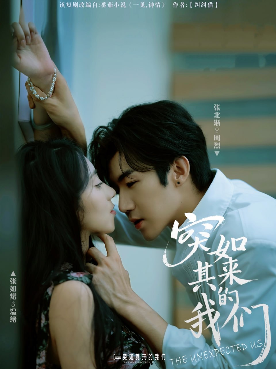 突如其来的我们封面