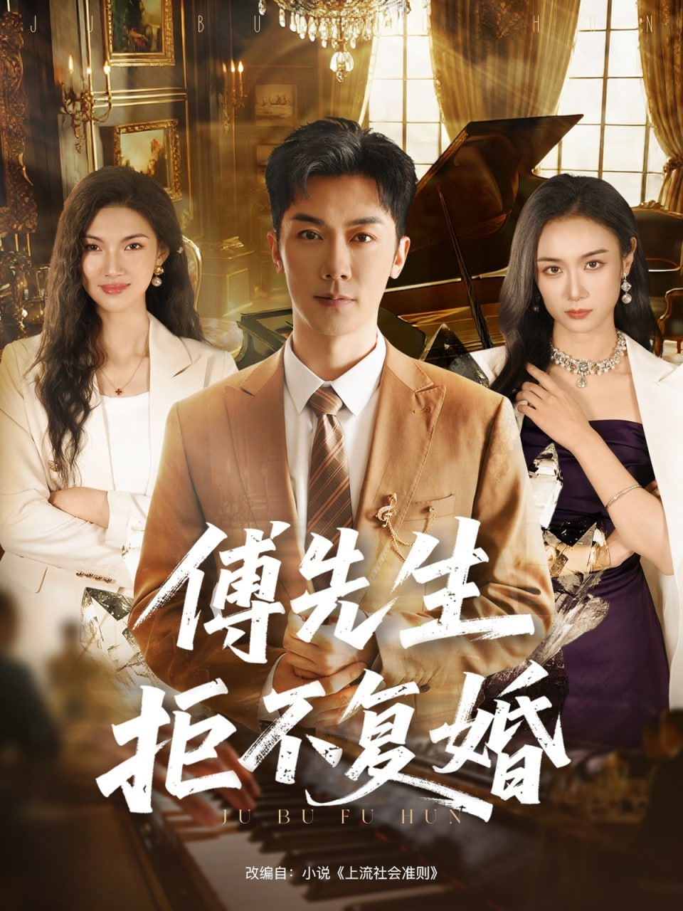 傅先生拒不复婚封面