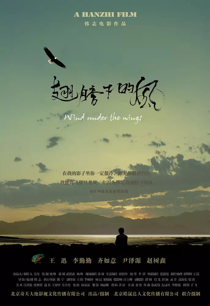 翅膀下的风封面