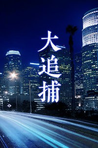 大追捕封面