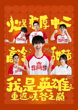 我是英雄之重返峡谷之巅封面
