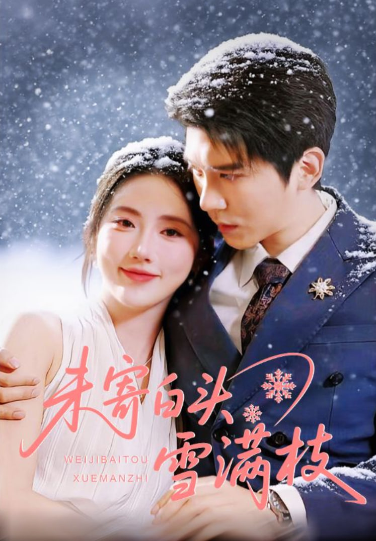 未寄白头雪满枝封面
