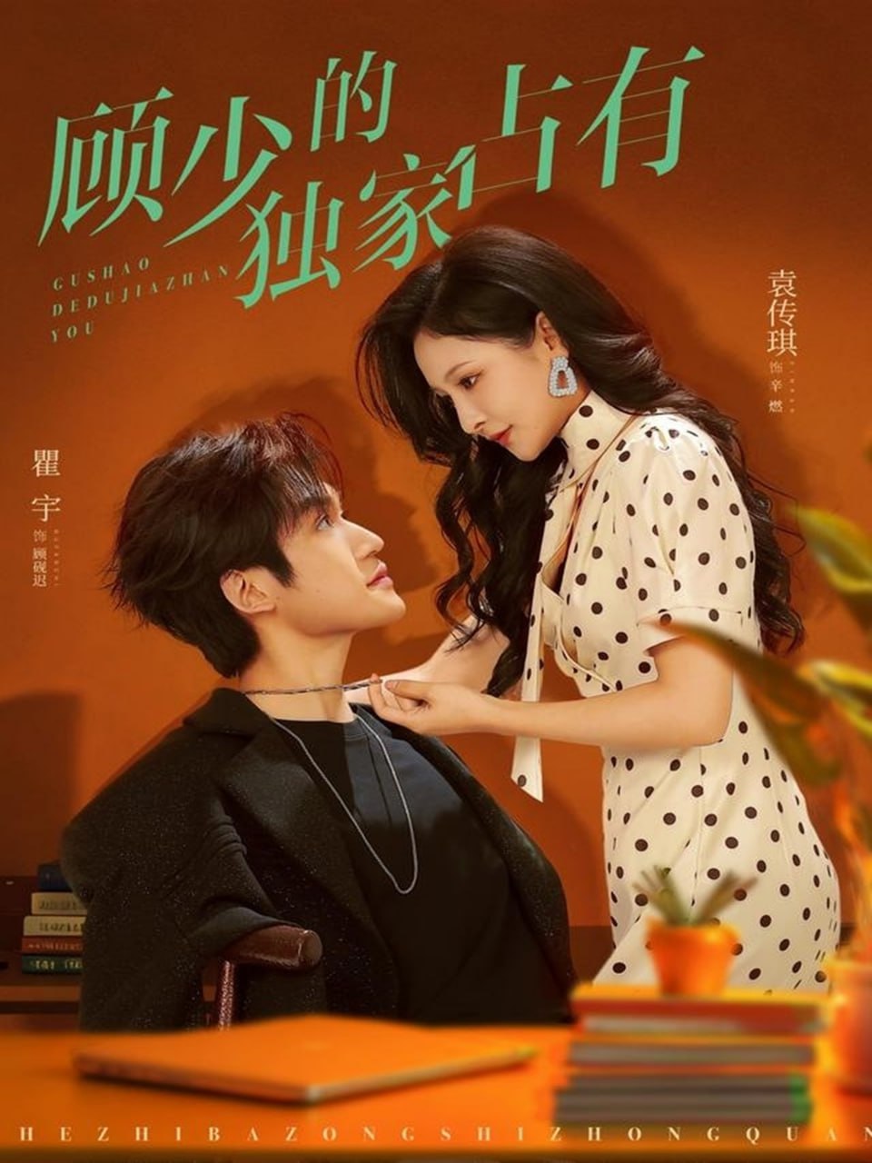 顾少的独家占有封面