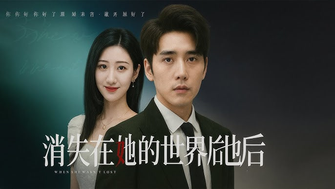 消失在她的世界后她才知道后悔封面