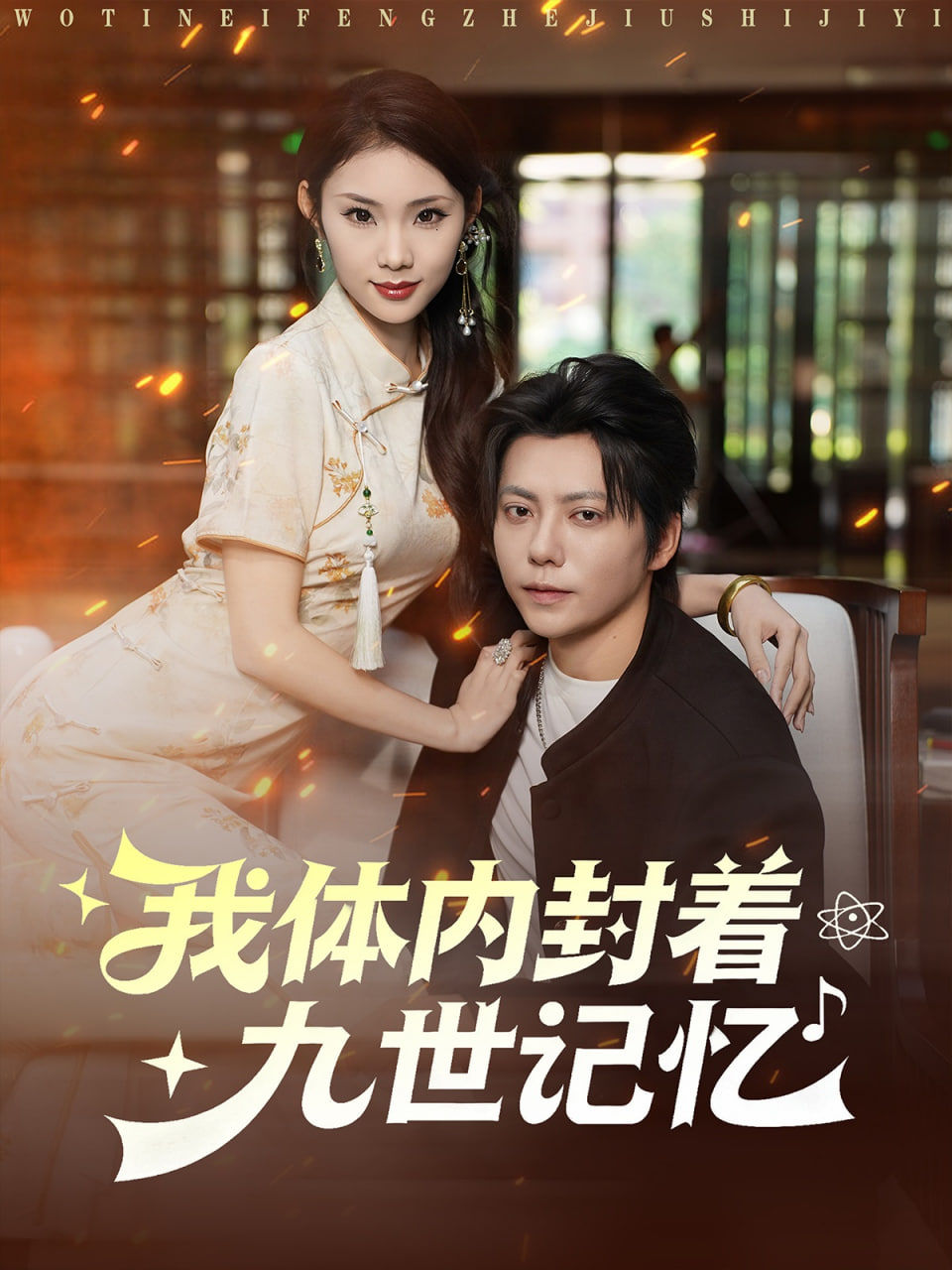 我体内封着九世记忆封面