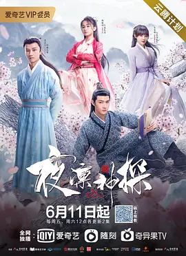 夜凛神探 第一季封面
