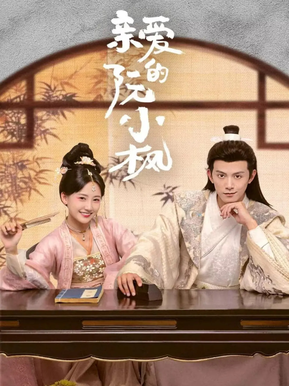 亲爱的阮小枫封面