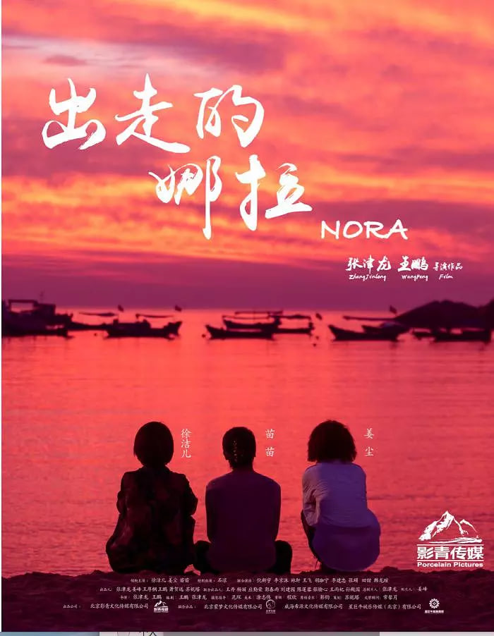 出走的娜拉封面