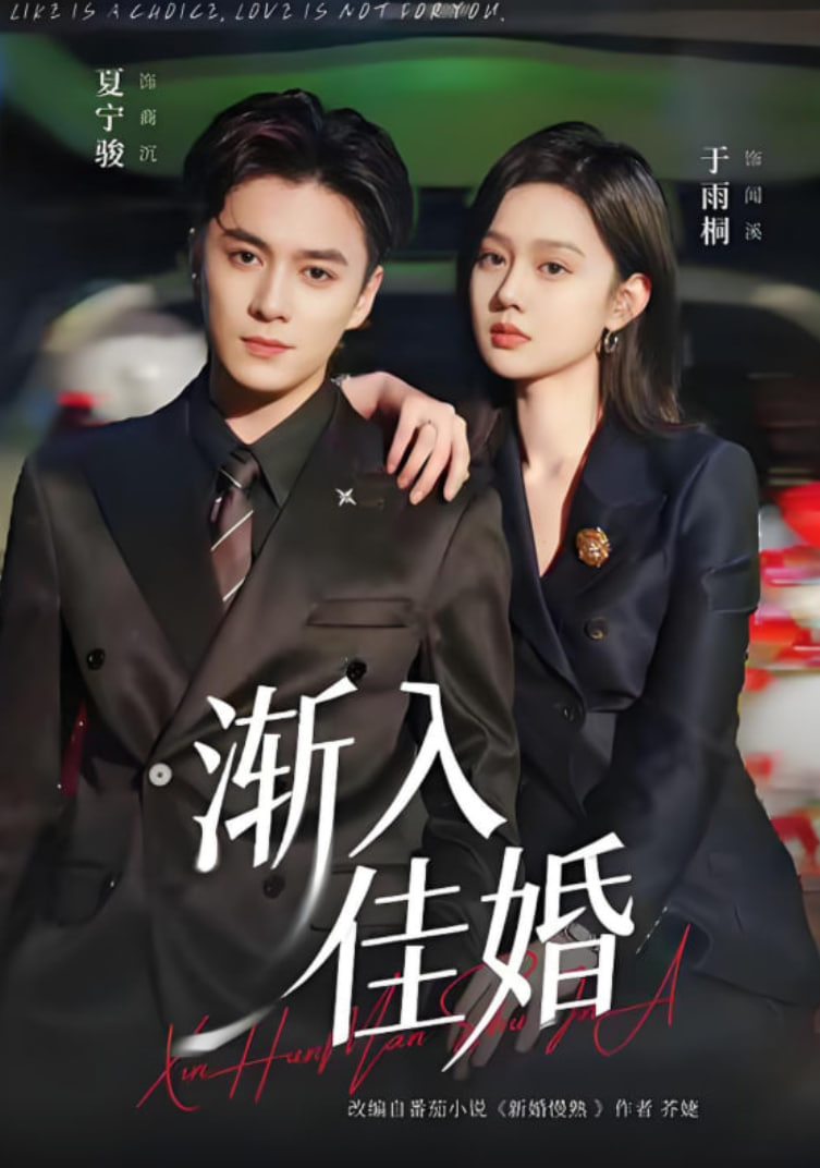 渐入佳婚封面