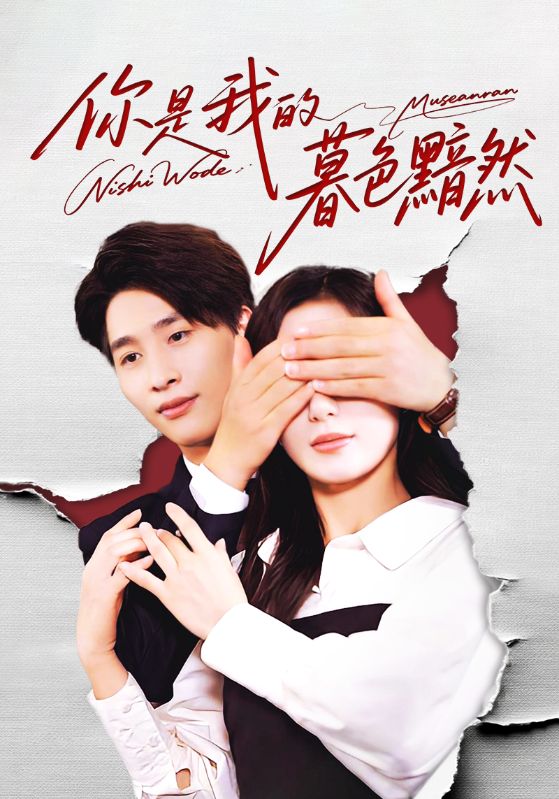 你是我的暮色黯然封面