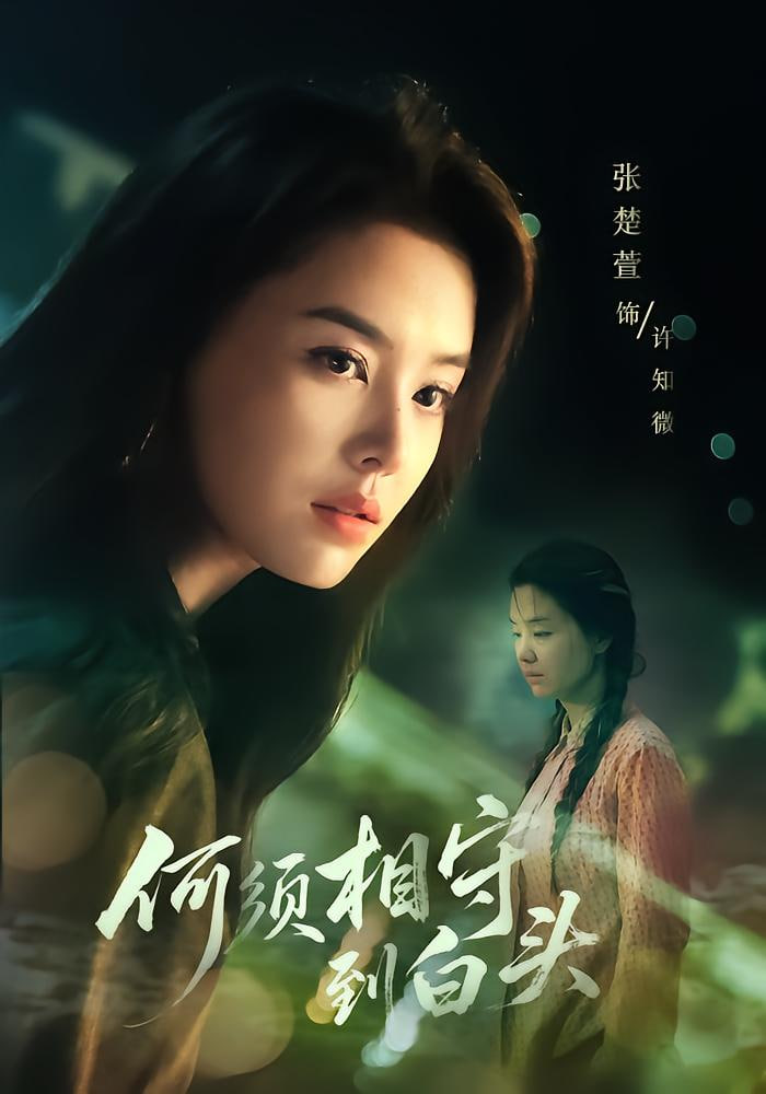 何须相守到白头封面