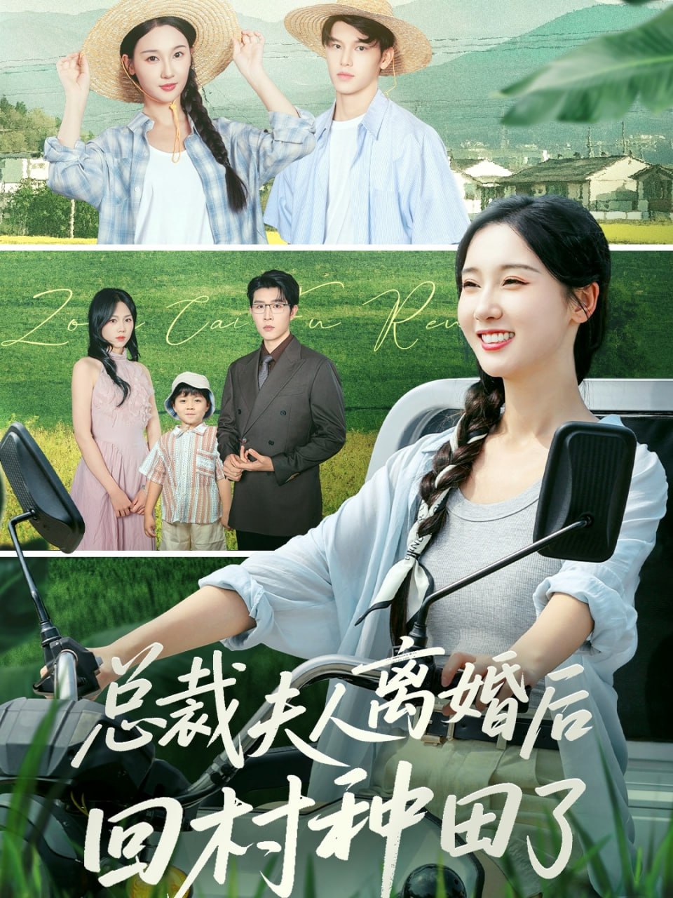 总裁夫人离婚后回村种田了封面