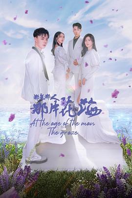 那年那人那片花海封面