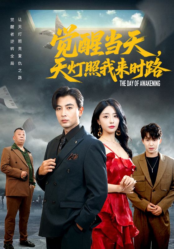 觉醒当天天灯照我来时路封面