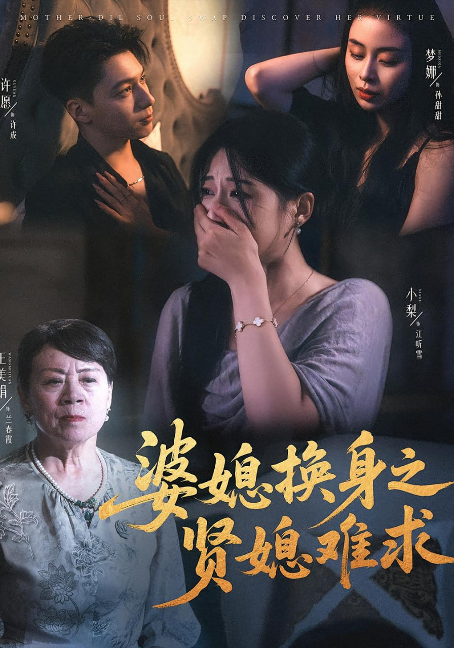婆媳换身之贤媳难求封面