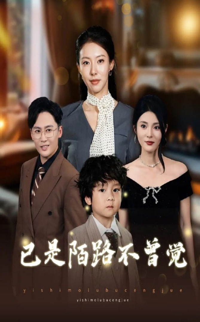 已是陌路不曾觉封面