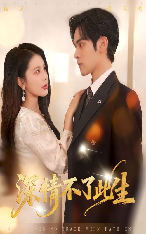 深情不了此生封面