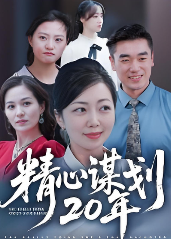 精心谋划20年封面