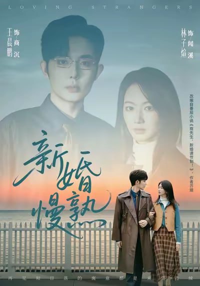 新婚慢熟封面