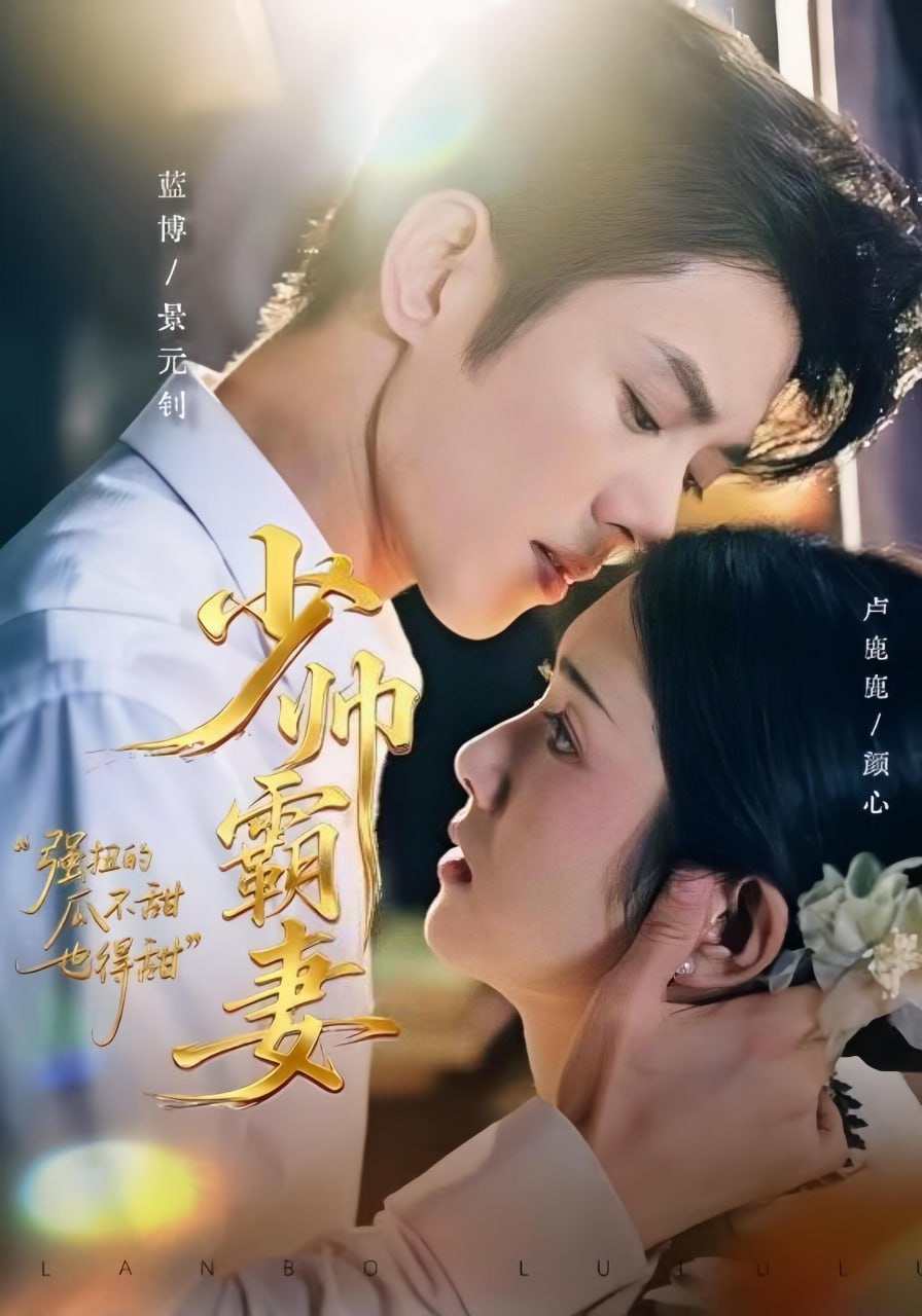 少帅霸妻，强扭的瓜不甜也得甜封面