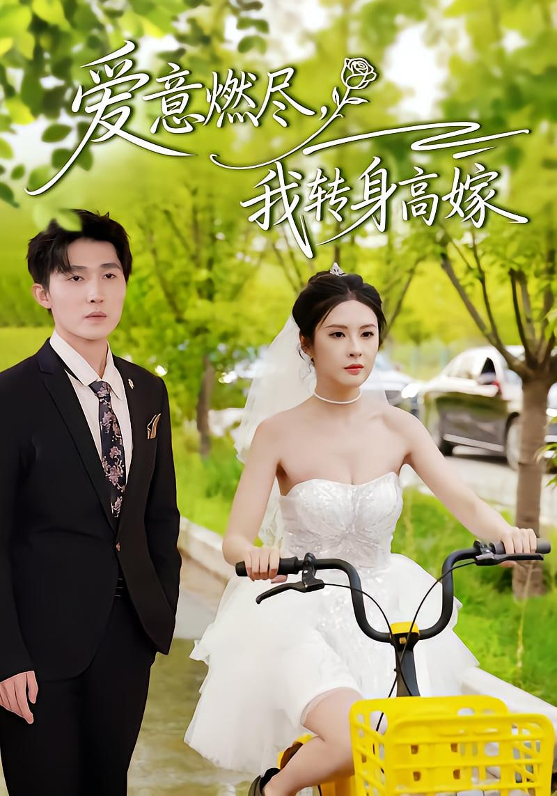 爱意燃尽，我转身高嫁封面