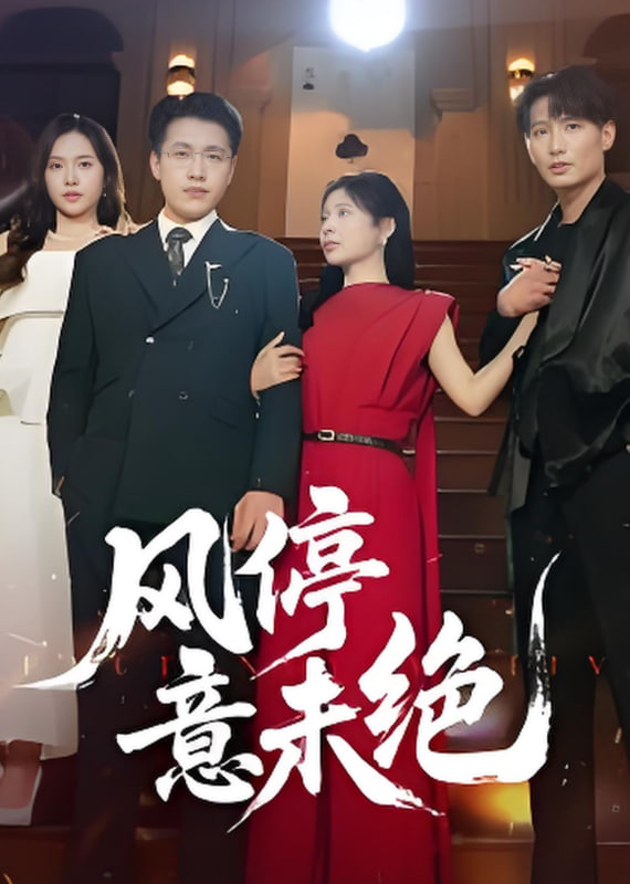 风停意未绝封面