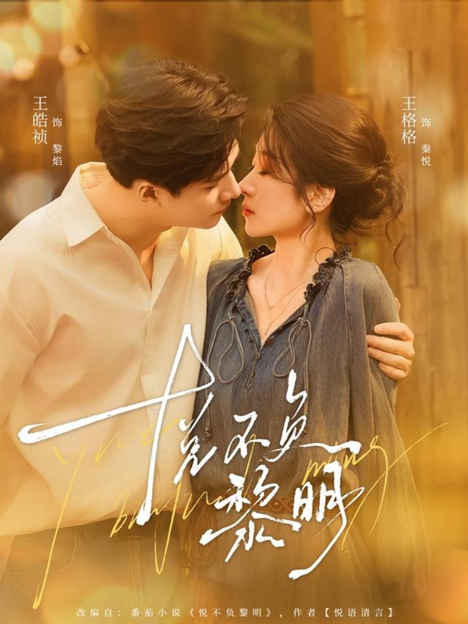 悦不负黎明封面