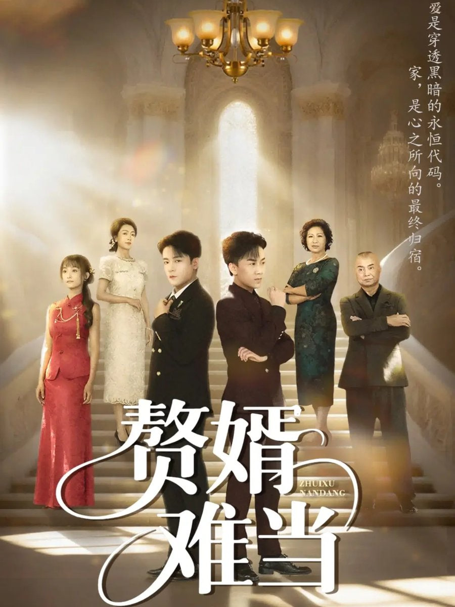 婿业难成（赘婿难当）封面