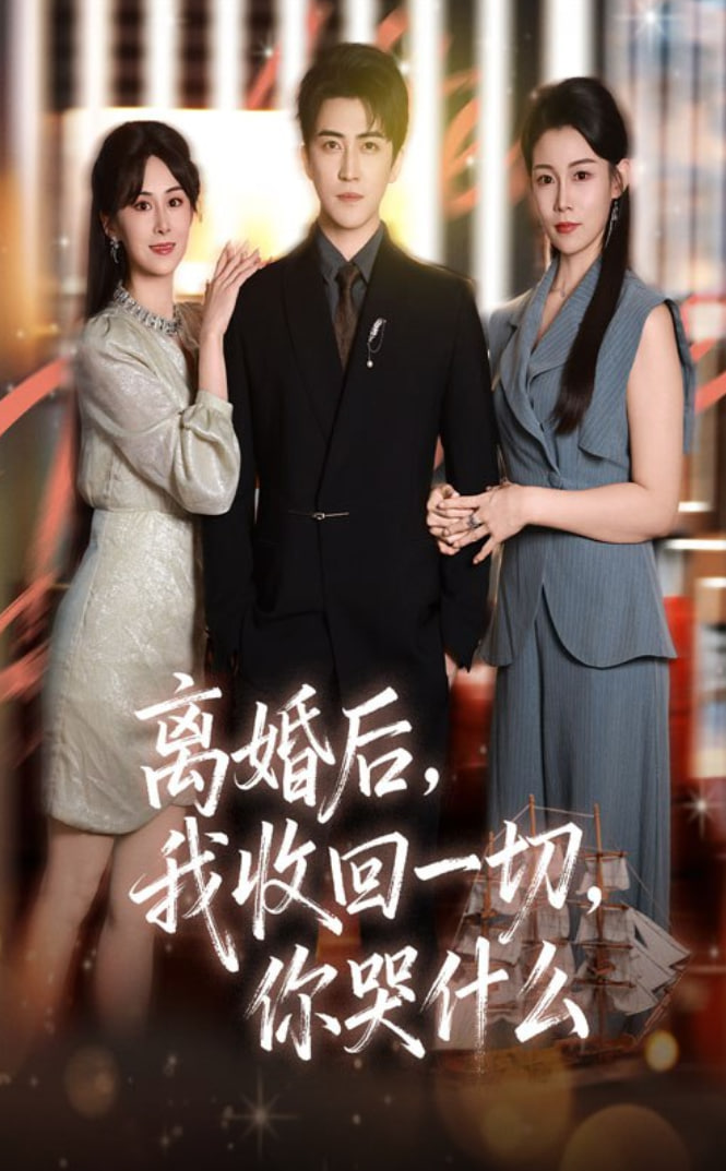 离婚后我收回一切你哭什么封面