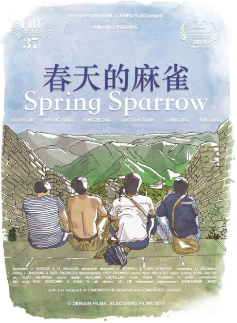 春天的麻雀封面