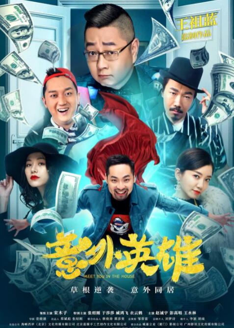 意外英雄封面