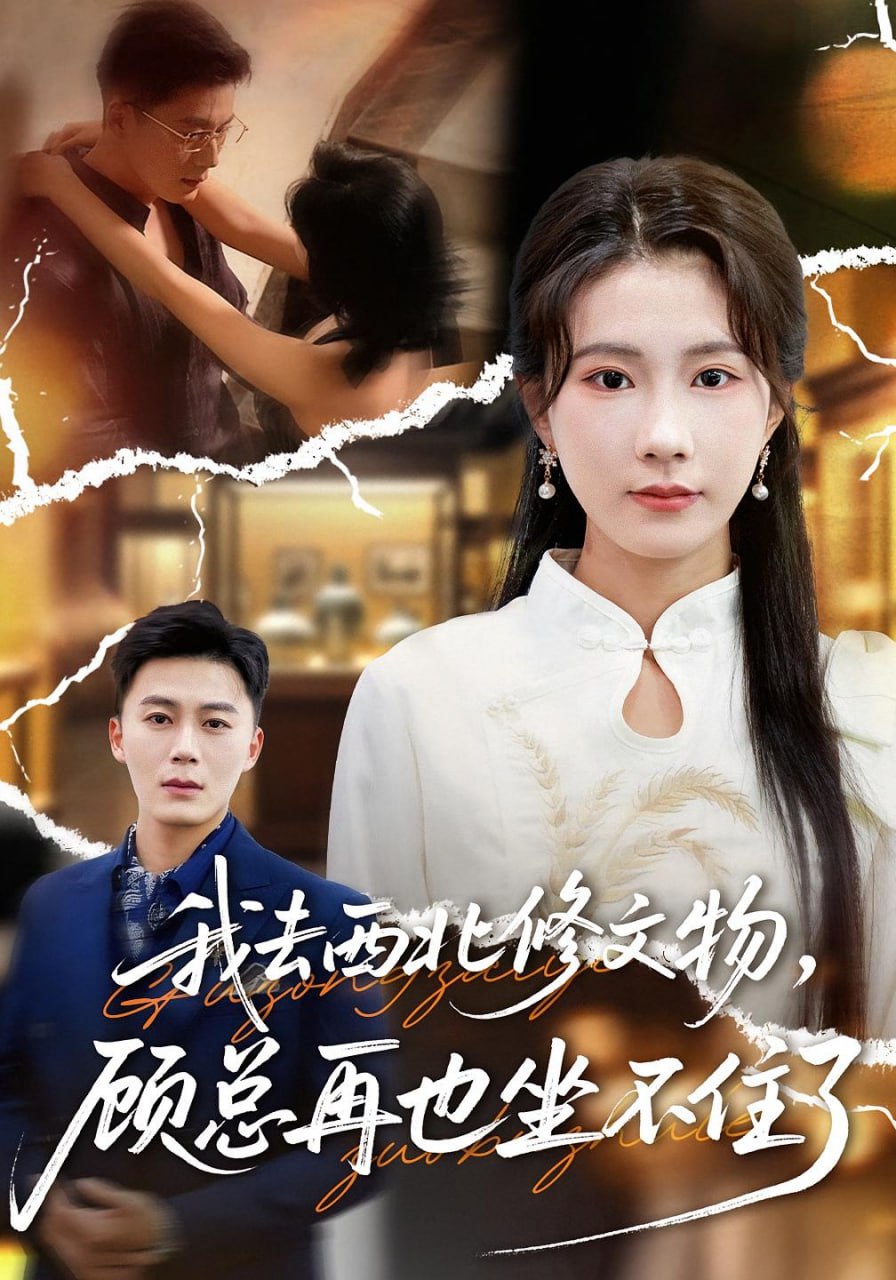 我去西北修文物，顾总再也坐不住了封面