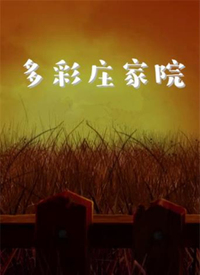 多彩庄家院封面