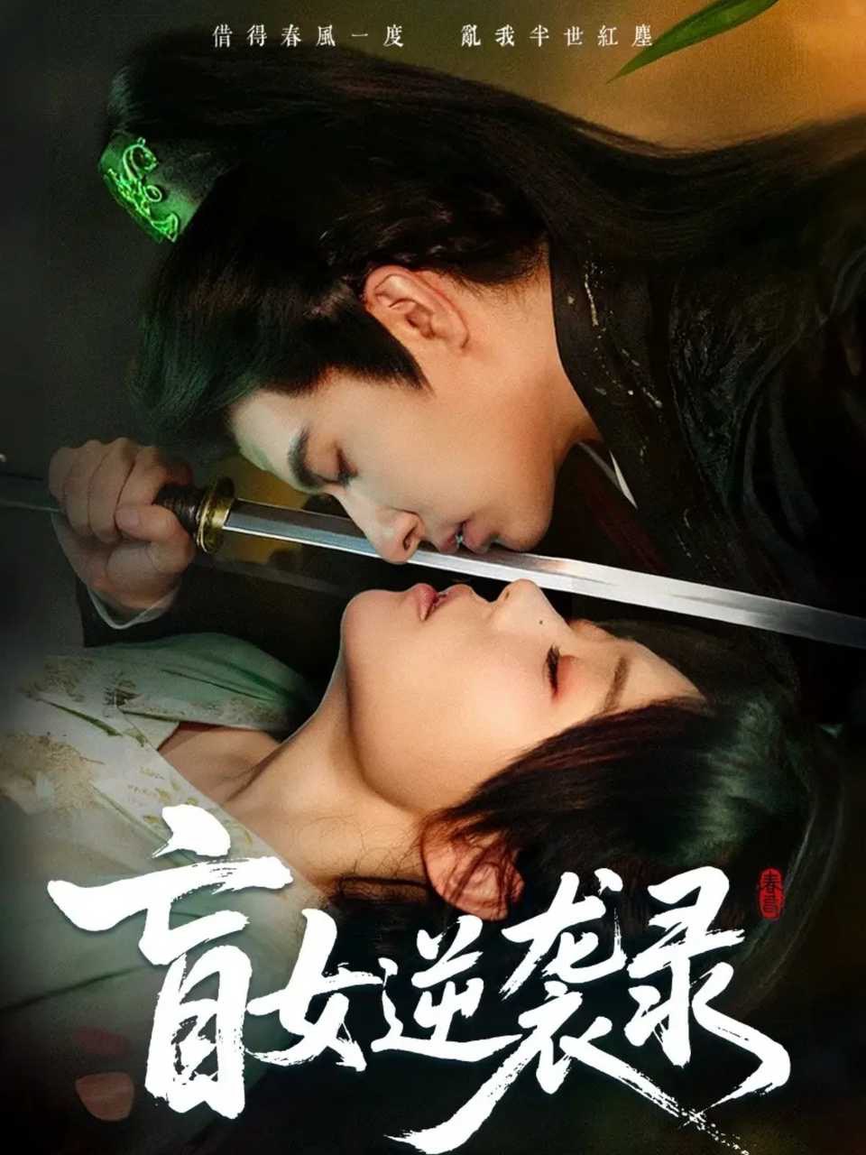 盲女逆袭录封面