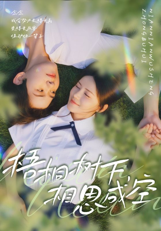 梧桐树下，相思成空封面